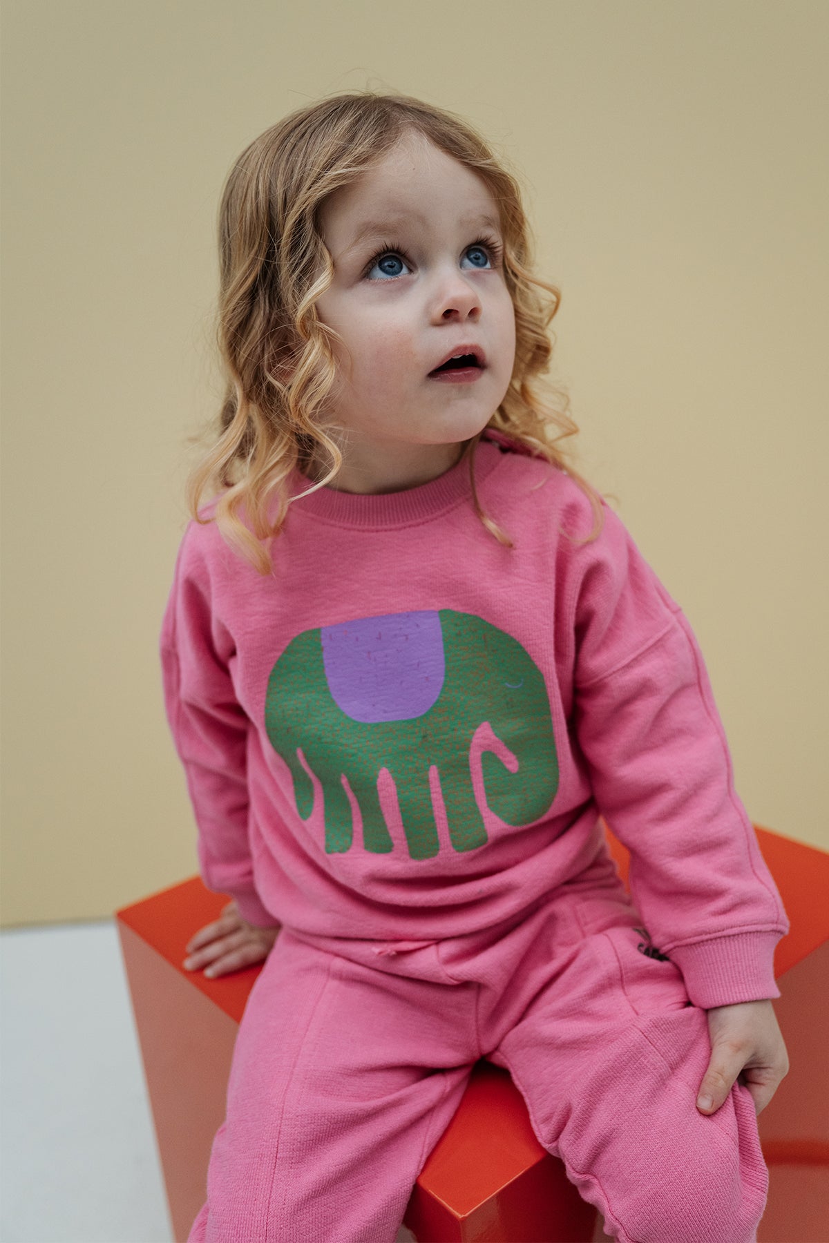 The New Chapter - Sweater Bo | Pink