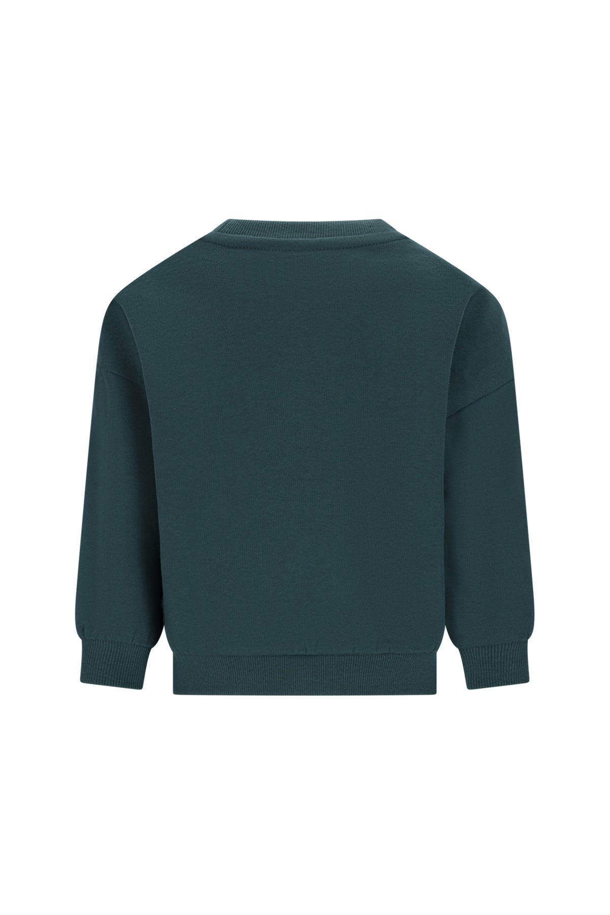 The New Chapter - Sweater Billie | Jasper Green