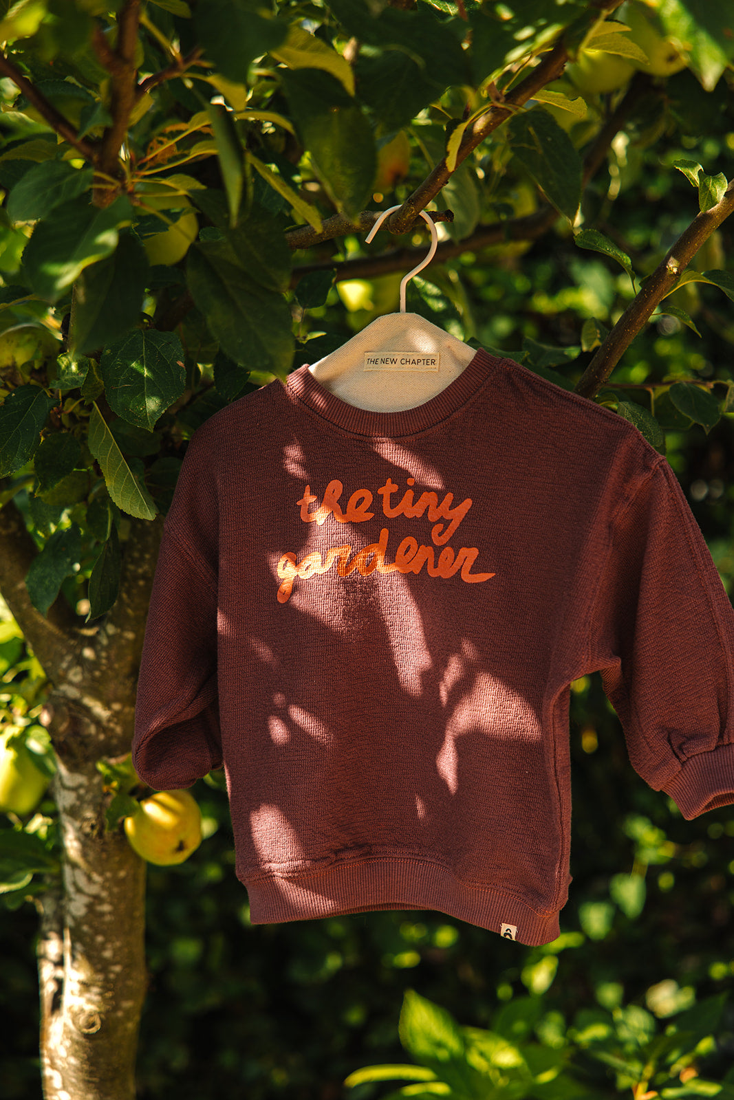 The New Chapter - Sweater Bo