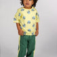The New Chapter - Broek Taylor | Forest green