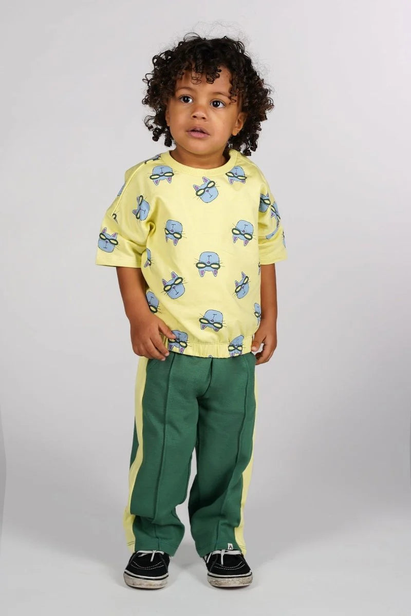 The New Chapter - Broek Taylor | Forest green