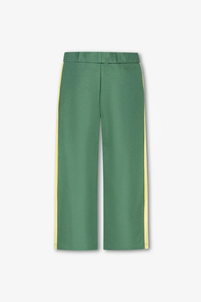 The New Chapter - Broek Taylor | Forest green