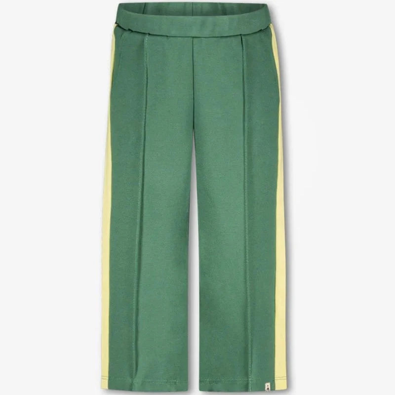 The New Chapter - Broek Taylor | Forest green